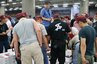 Alternative to Tokyo Tsukiji Fish Market: Kyoto Wholesale Food Market Alternative to Tokyo Tsukiji Fish Market: Kyoto Wholesale Food Market