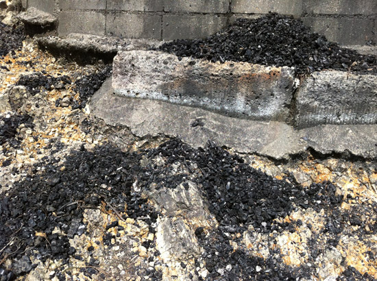 Collecting Daimonji Charcoal on Mt. Funayama (2010)