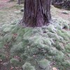 Exif_JPEG_PICTURE
