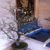 izutsu-samegai-bldg-lobby-plum-blossoms-2012-1
