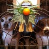 Japanese New Year Decoration: Shogatsu Kazari