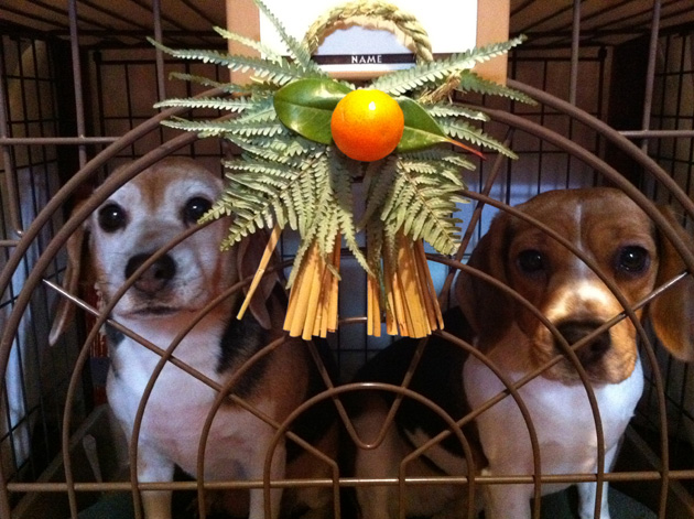 Japanese New Year Decoration: Shogatsu Kazari