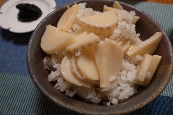 Fresh Bamboo Shoot Takenoko Gohan Yuba Bamboo Shoot Sukiyaki 竹の子ご飯、生湯葉竹の子すき焼き
