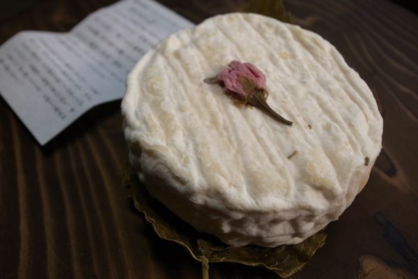 Shio-zakura Camembert Cheese from Hokkaido (塩桜カマンベールチーズ)