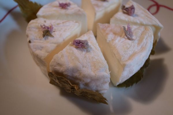 Shio-zakura Camembert Cheese from Hokkaido (塩桜カマンベールチーズ)