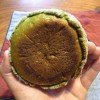 Kyoto Bakery: Oreno Pan's Maccha Melon Pan レストラン奥村 オレノパン 抹茶メロンパン Kyoto Bakery: Oreno Pan's Maccha Melon Pan レストラン奥村 オレノパン 抹茶メロンパン
