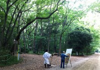 Kyoto Shimogamo Jinja Shrine Tadasu-no-mori Forest Painter Kyoto Shimogamo Jinja Shrine Tadasu-no-mori Forest Painter (下鴨神社 糺の森 絵描)