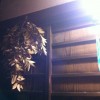 Kyoto Shrine: Demachi Myo-on Bezaiten (京都 出町 妙音弁財天)