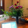 Ikebana: Rose and Chrysanthemum Flowers and Camellia Leaves
