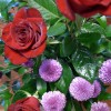 Ikebana: Rose and Chrysanthemum Flowers and Camellia Leaves