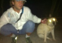 Kyoto Shimogamo Shrine Yellow Lab Rescue