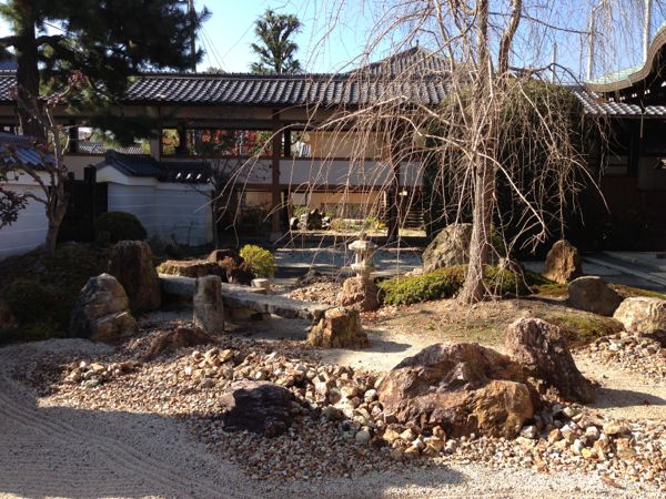 Kyoto Temple: Myorenji with Jugatsu-zakura Autumn Cherry Blossoms in Bloom