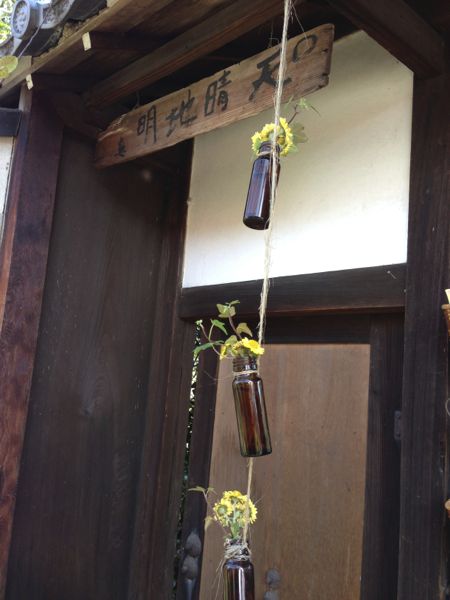 Kyoto Temple: Myorenji with Jugatsu-zakura Autumn Cherry Blossoms in Bloom