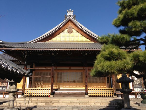 Kyoto Temple: Myorenji with Jugatsu-zakura Autumn Cherry Blossoms in Bloom