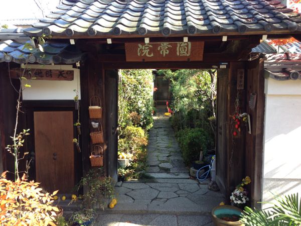 Kyoto Temple: Myorenji with Jugatsu-zakura Autumn Cherry Blossoms in Bloom
