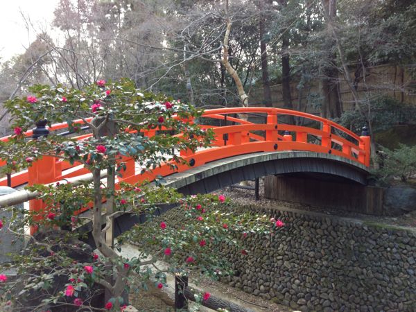 Kitano Tenmangu Shrine Plum Blossoms - Spring 2013 北野天満宮 梅花祭