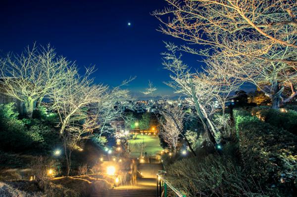kyoto-hanatoro