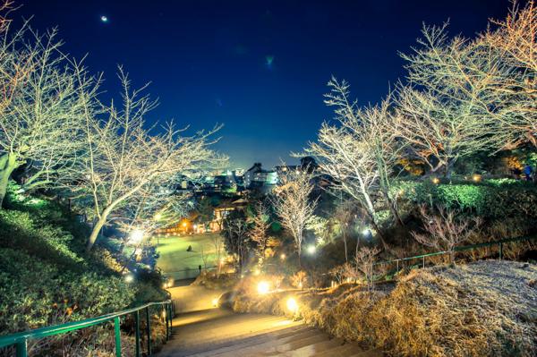 kyoto-hanatoro
