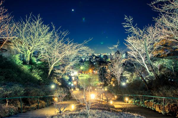 kyoto-hanatoro