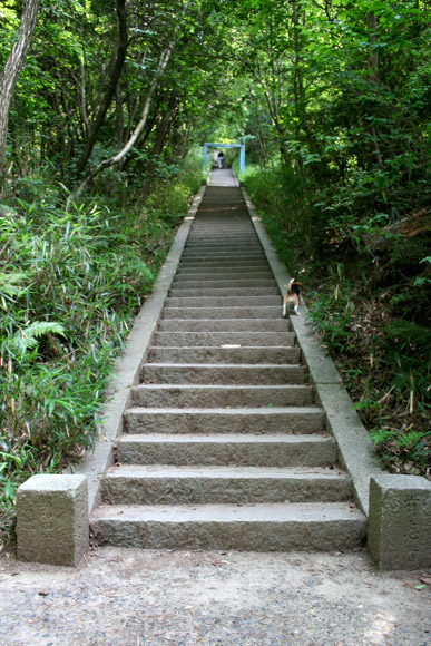 Hiking in Kyoto: Daimonji Yama (Mt. Daimonji) Hiking in Kyoto: Daimonji Yama (Mt. Daimonji)