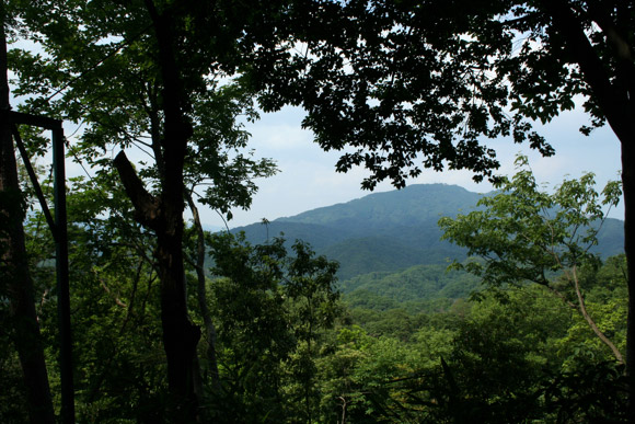 Hiking in Kyoto: Daimonji Yama (Mt. Daimonji) Hiking in Kyoto: Daimonji Yama (Mt. Daimonji)