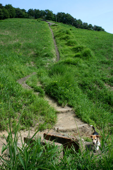 Hiking in Kyoto: Daimonji Yama (Mt. Daimonji) Hiking in Kyoto: Daimonji Yama (Mt. Daimonji)