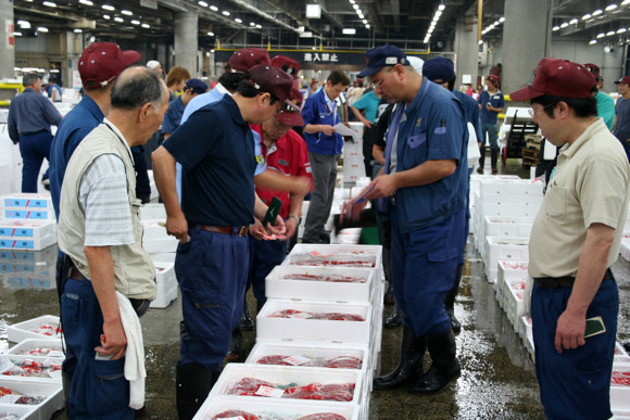 Alternative to Tokyo Tsukiji Market: Kyoto Wholesale Food Market 京都中央卸市場 Alternative to Tokyo Tsukiji Market: Kyoto Wholesale Food Market 京都中央卸市場