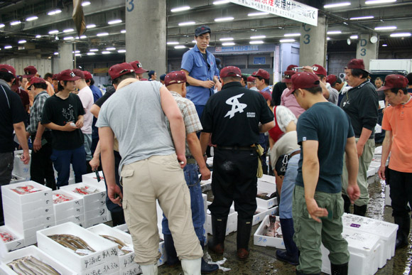 Alternative to Tokyo Tsukiji Fish Market: Kyoto Wholesale Food Market