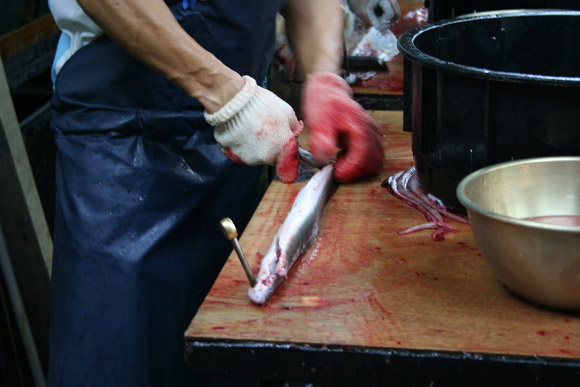 Alternative to Tokyo Tsukiji Market: Kyoto Wholesale Food Market 京都中央卸市場 Alternative to Tokyo Tsukiji Market: Kyoto Wholesale Food Market 京都中央卸市場
