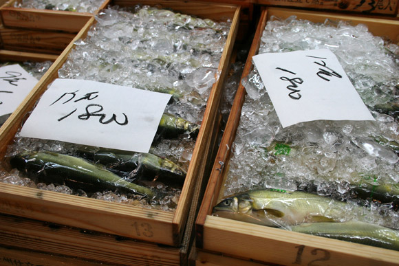 Alternative to Tokyo Tsukiji Market: Kyoto Wholesale Food Market 京都中央卸市場 Alternative to Tokyo Tsukiji Market: Kyoto Wholesale Food Market 京都中央卸市場