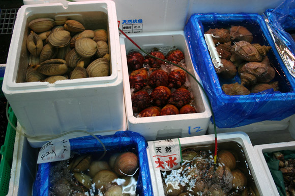 Alternative to Tokyo Tsukiji Market: Kyoto Wholesale Food Market 京都中央卸市場 Alternative to Tokyo Tsukiji Market: Kyoto Wholesale Food Market 京都中央卸市場
