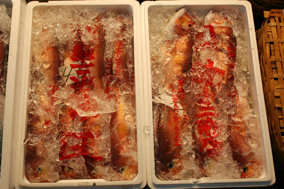 Alternative to Tokyo Tsukiji Market: Kyoto Wholesale Food Market 京都中央卸市場 Alternative to Tokyo Tsukiji Market: Kyoto Wholesale Food Market 京都中央卸市場