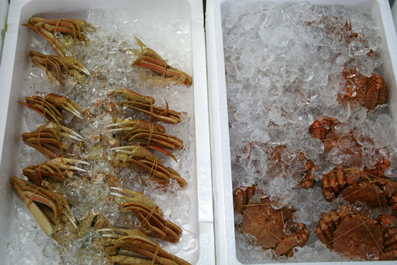 Alternative to Tokyo Tsukiji Market: Kyoto Wholesale Food Market 京都中央卸市場 Alternative to Tokyo Tsukiji Market: Kyoto Wholesale Food Market 京都中央卸市場