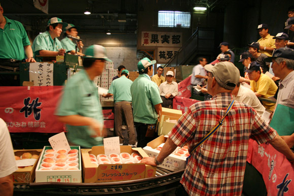 Alternative to Tokyo Tsukiji Market: Kyoto Wholesale Food Market 京都中央卸市場 Alternative to Tokyo Tsukiji Market: Kyoto Wholesale Food Market 京都中央卸市場