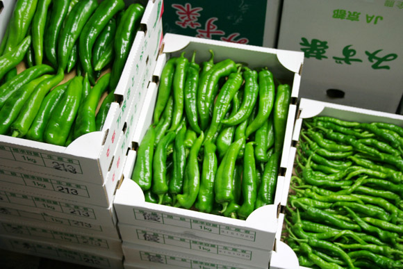 Alternative to Tokyo Tsukiji Market: Kyoto Wholesale Food Market 京都中央卸市場 Alternative to Tokyo Tsukiji Market: Kyoto Wholesale Food Market 京都中央卸市場