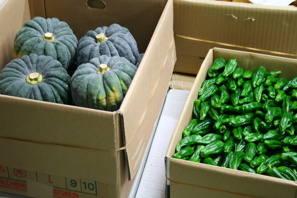 Alternative to Tokyo Tsukiji Market: Kyoto Wholesale Food Market 京都中央卸市場 Alternative to Tokyo Tsukiji Market: Kyoto Wholesale Food Market 京都中央卸市場