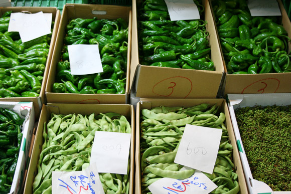 Alternative to Tokyo Tsukiji Market: Kyoto Wholesale Food Market 京都中央卸市場 Alternative to Tokyo Tsukiji Market: Kyoto Wholesale Food Market 京都中央卸市場