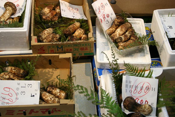 Alternative to Tokyo Tsukiji Market: Kyoto Wholesale Food Market 京都中央卸市場 Alternative to Tokyo Tsukiji Market: Kyoto Wholesale Food Market 京都中央卸市場