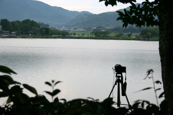Kyoto Daimonji Viewing Party at Hirosawa Pond Villa 嵐山広沢池 五山送り火鳥居形