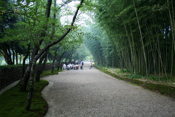 Kyoto Daimonji Viewing Party at Hirosawa Pond Villa 嵐山広沢池 五山送り火鳥居形