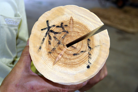 Kyoto Kitayama Lumberjack Sugi Sushi 京都京北 杉鮨 Kyoto Kitayama Lumberjack Sugi Sushi 京都京北 杉鮨