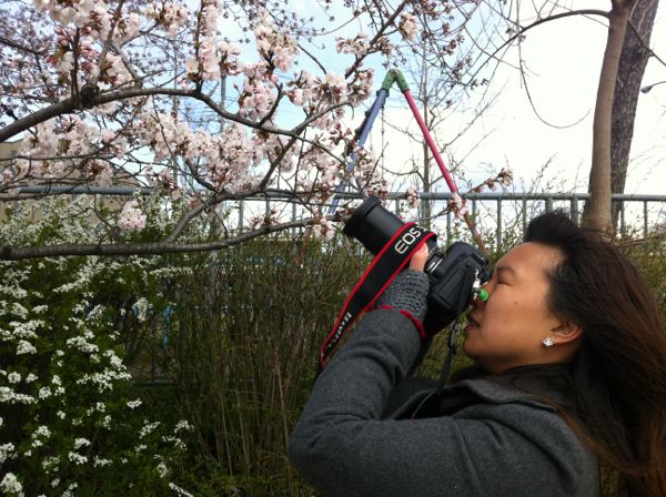 Kyoto Kamo River Hanami Picnic - 2012 京都鴨川お花見ピクニック