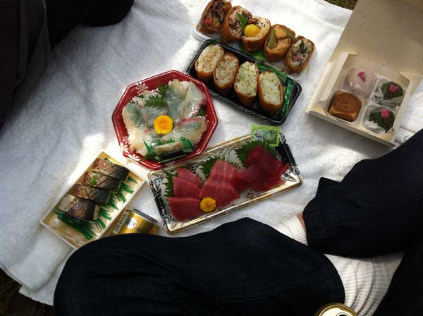 Kyoto Kamo River Hanami Picnic - 2012 京都鴨川お花見ピクニック