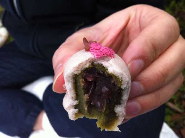 Kyoto Kamo River Hanami Picnic - 2012 京都鴨川お花見ピクニック