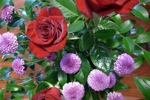 Ikebana: Rose and Chrysanthemum Flowers and Camellia Leaves