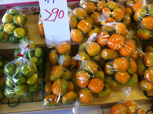 green tangerine mikan persimmon autumn 2012