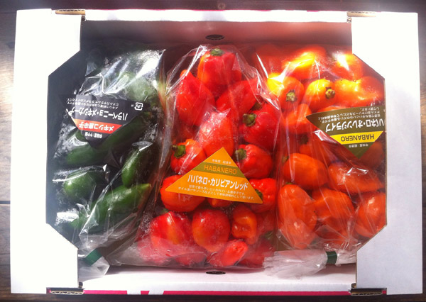 Kyoto Shino Farms Habanero and Jalapeno Peppers