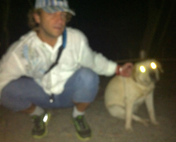 Kyoto Shimogamo Shrine Yellow Lab Rescue