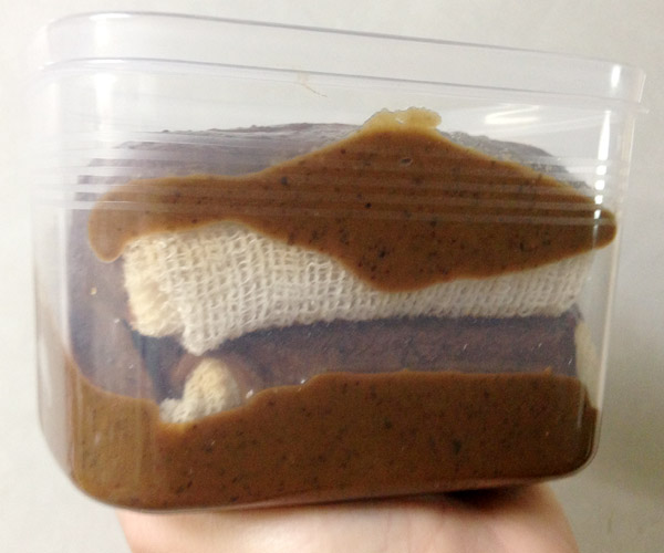 Rebirth of KyotoFoodie: 2015 Article Tease, Black Bean Miso Paste & Tofu