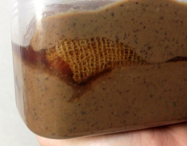 Rebirth of KyotoFoodie: 2015 Article Tease, Black Bean Miso Paste & Tofu